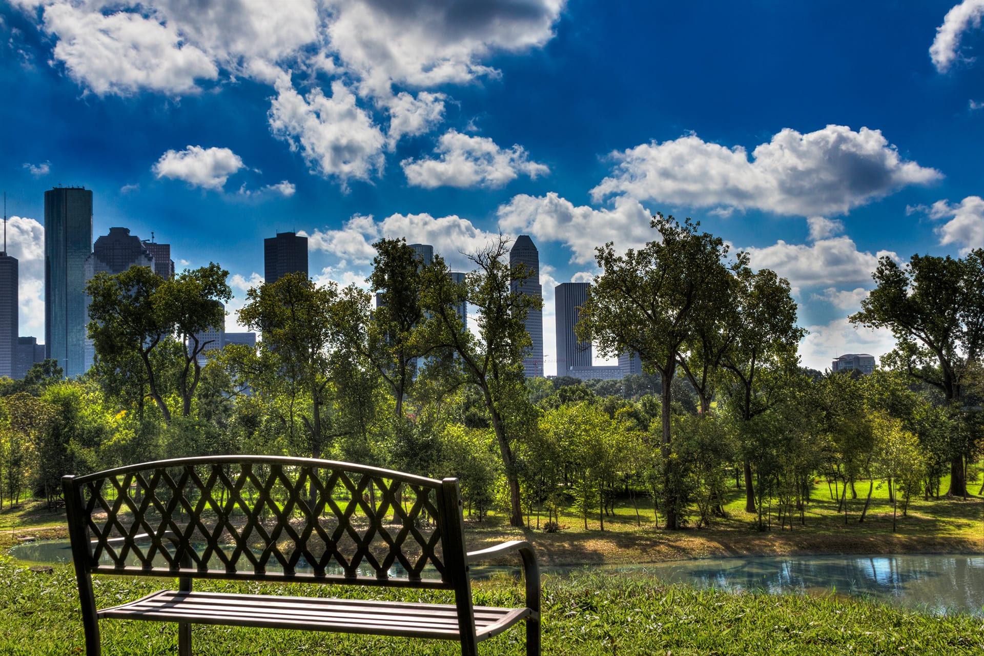 Glenwood Cemetery Landscape