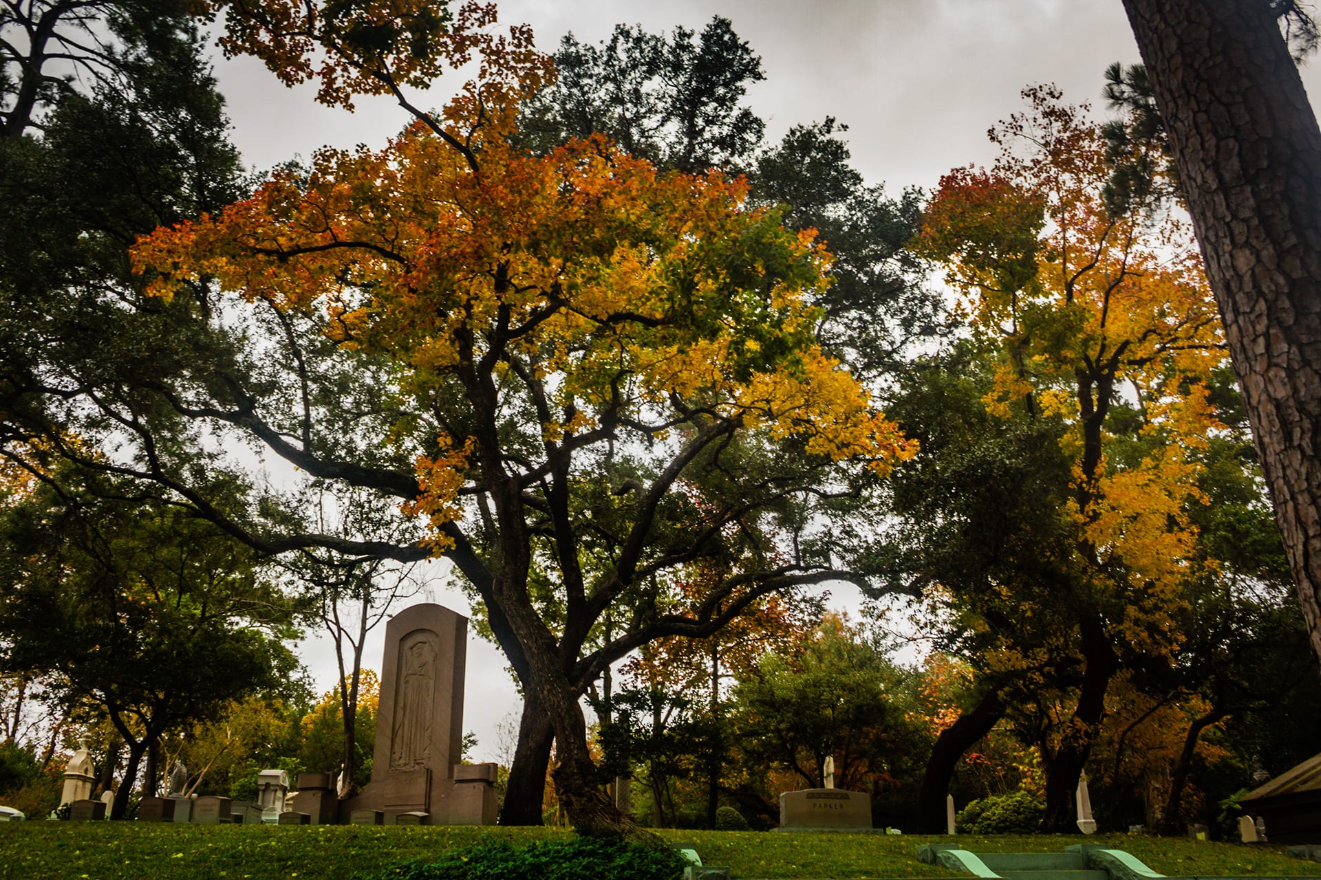 Historic Preservation Sites to Visit in Houston