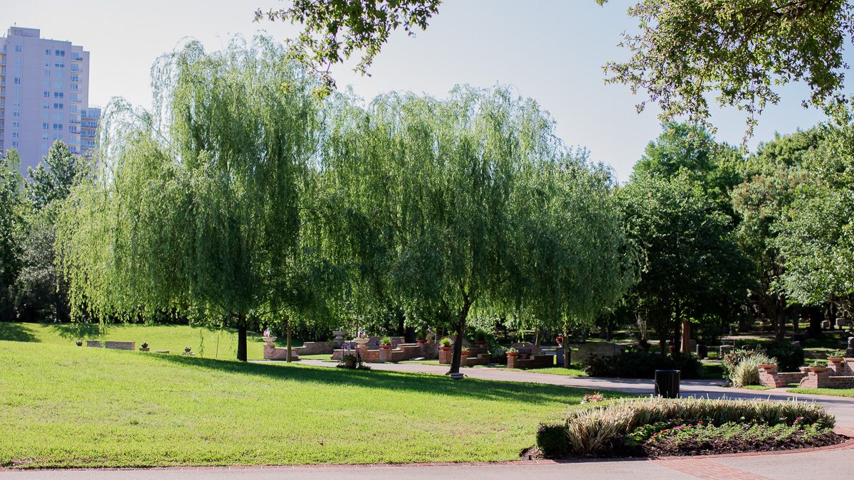 Glenwood Cemetery Landscape