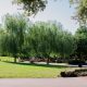 Glenwood Cemetery Landscape