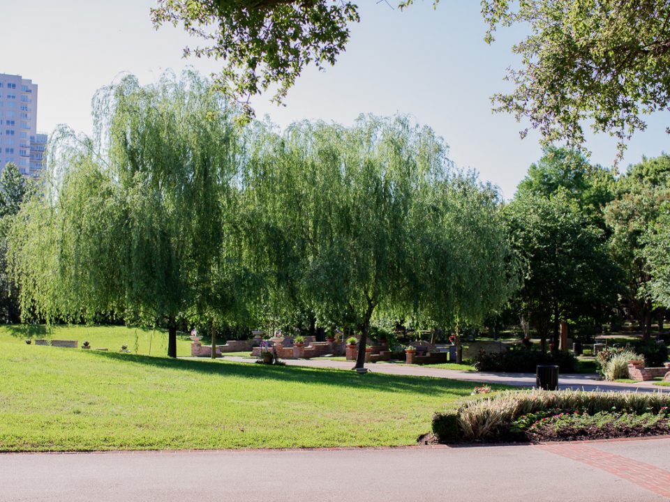 Glenwood Cemetery Landscape