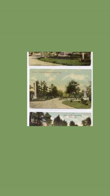 March blessed the grounds with beautiful blooms and new friends by the lake 🌸🦆

We loved welcoming guests into the greenhouse and showcasing our archives at St. Anne's and Old, Weird Houston - such a special way to share the beauty and history of Glenwood.

Come take a stroll and enjoy the pops of color and ducklings by the lake that make this season extra magical ✨

#GlenwoodCemetery #GlenwoodGrounds #Houston #HistoricHouston #Spring