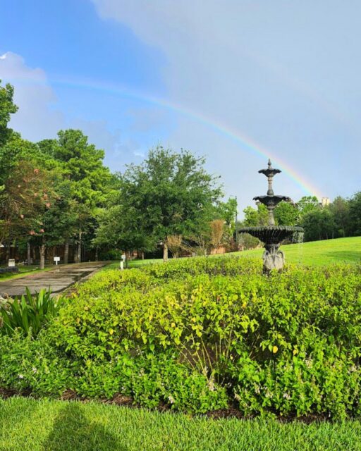 This #EarthDay, Glenwood is full of life- with wildlife and flowers in every color 🌿🌸

Located right in the city, Glenwood is a small but important green space that supports a wide variety of species and critters.

Take a moment today to look around and notice who (or what) we share the Earth with 🌎💚.

#GlenwoodCemetery #EarthDay #EarthDay2026 #Houston #HistoricHouston #Spring #Wildlife #Nature #GlenwoodGrounds