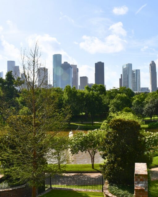 Happy 713 Day, Houston! 🤘  For more than 150 years, Glenwood has been woven into the story of our city. As we celebrate Houston today, we also honor the people, history, and natural beauty that continue to make this place so special.  Spend some time exploring the stories, landscapes, and wildlife that make Glenwood a treasured part of Houston.✨ � �

#glenwoodcemetery #houston #713day #historichouston #houstonhistory #gardencemetery #silentgarden