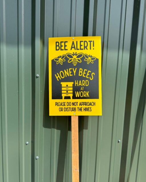 In celebration of World Honey Bee Day, we’re recognizing some of the smallest residents of Glenwood’s landscape. 🐝

As honey bees move from bloom to bloom, they support pollination throughout our gardens and contribute to a healthy, thriving ecosystem. Did you know? Glenwood’s apiary is home to eight honey bee hives! 🍯🌿

#glenwoodcemetery #worldhoneybeeday #houston #apiary #bee