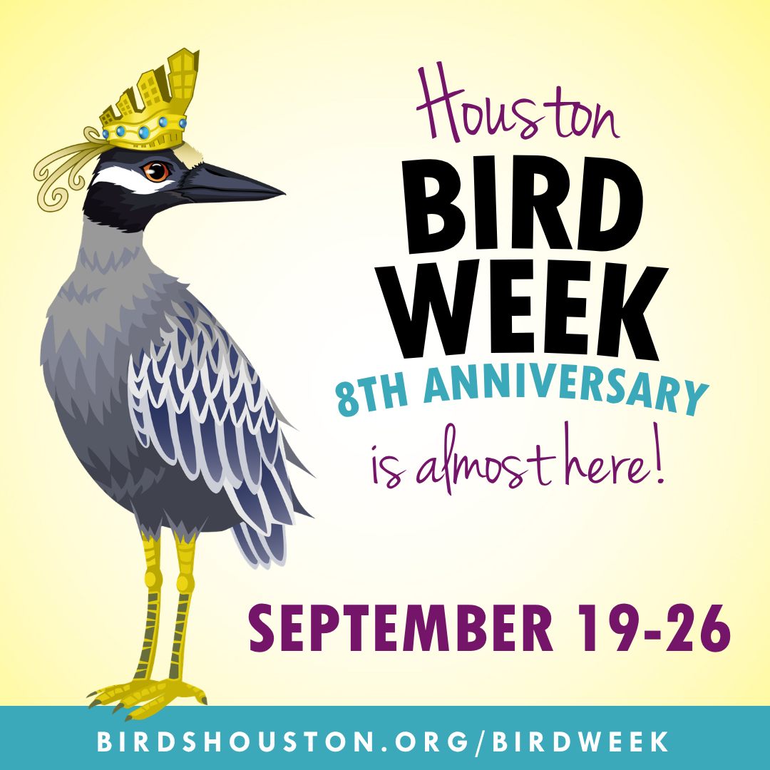 We’re excited to be part of the 8th annual Houston Bird Week! From September 19–26, Birds Houston and local partners are hosting a full lineup of free and low-cost events throughout the city. Bird Week is an annual celebration of our city’s important role in the lives of billions of birds, with events for all! @birdshouston

Join us at Glenwood for “Hidden Wings” on Wednesday, September 23 from 8AM-11AM, and enjoy one of the many fun events centered around our region’s birds and wildlife. There’s something for everyone! 

Learn more at birdshouston.org/birdweek and register at the link in our bio! 
 

#HoustonBirdWeek #GlenwoodCemetery #Houston #HoustonEvents